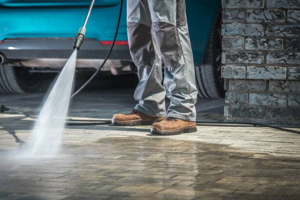 Best Winterizing Services  in Isle Of Palms, SC