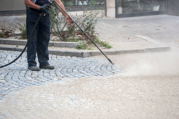 Best Animal Enclosure Cleaning  in Isle Of Palms, SC